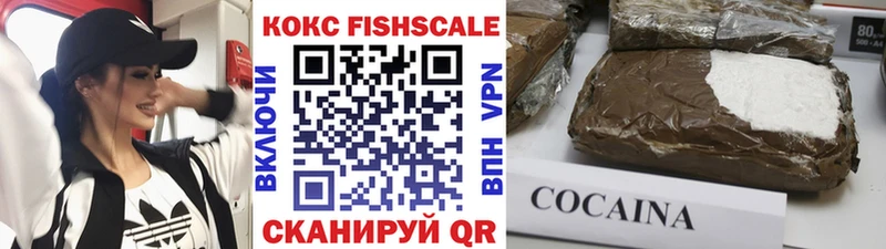 Купить закладки  Беслан  Cocaine Эквадор 