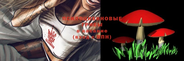 молекула духа Заволжье