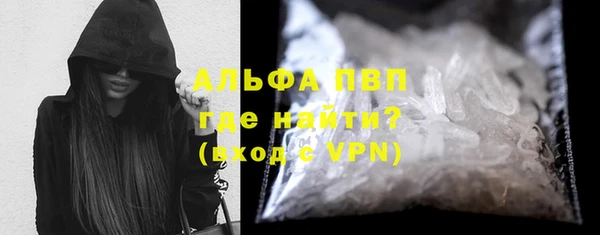 молекула духа Заволжье