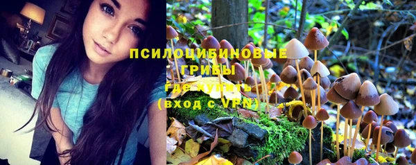 винт Заволжск