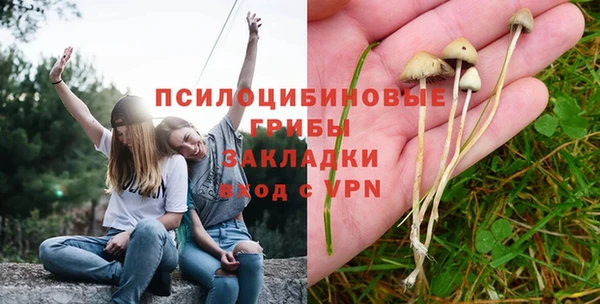 мдпв Заводоуковск