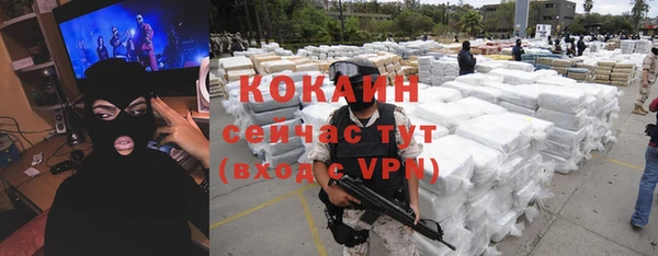 мдпв Заводоуковск