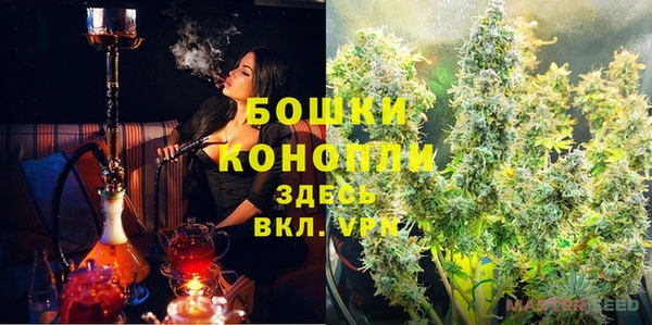 мдпв Заводоуковск