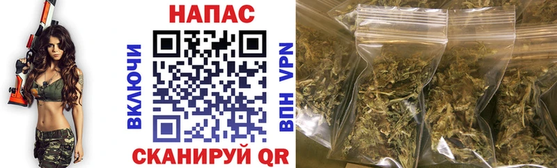 Бошки Шишки сатива  Купить где  Беслан 